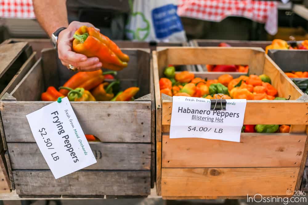 farmers-market-ossining-11