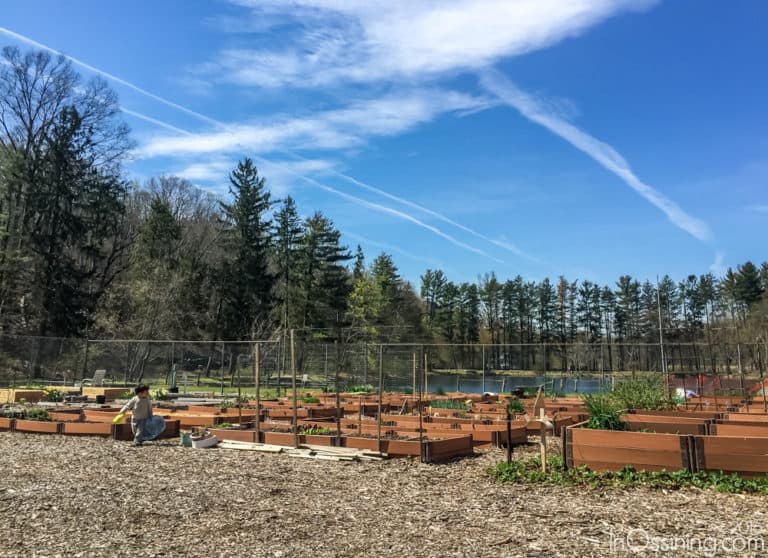 Cedar Lane Park and Arts Center in Ossining
