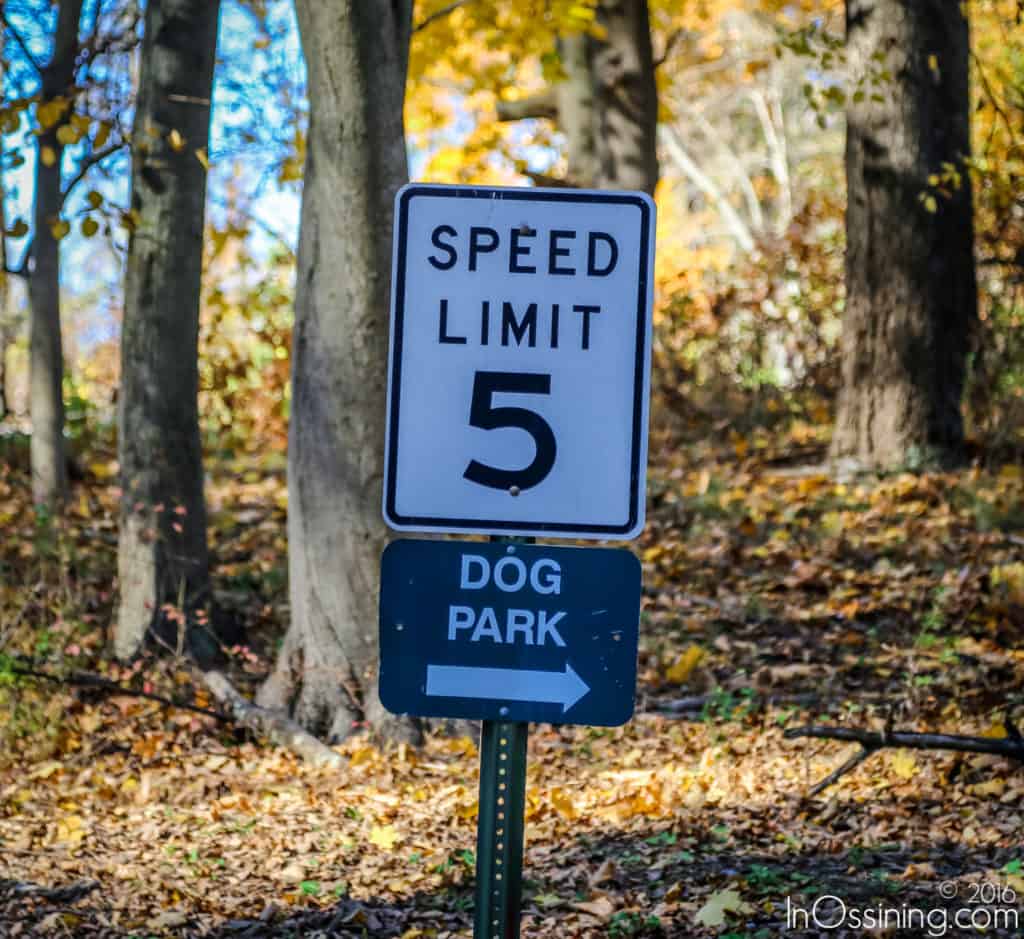 Cedar Lane Park and Arts Center in Ossining