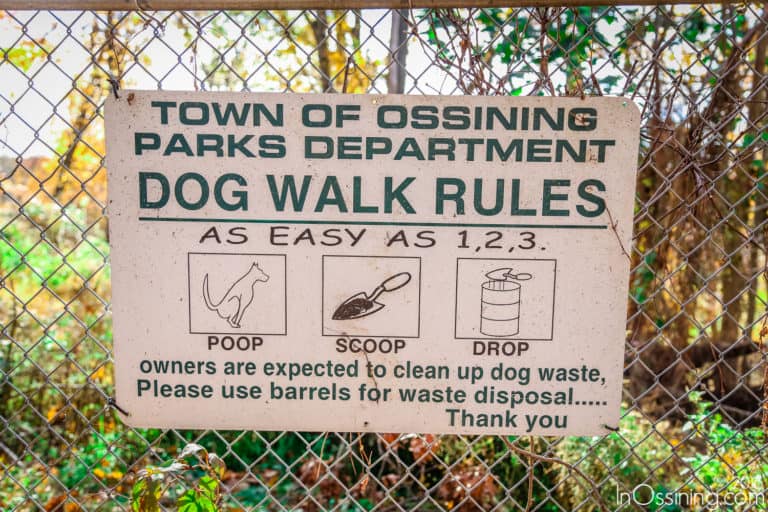 Cedar Lane Park and Arts Center in Ossining