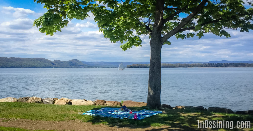 Ossining Picnic