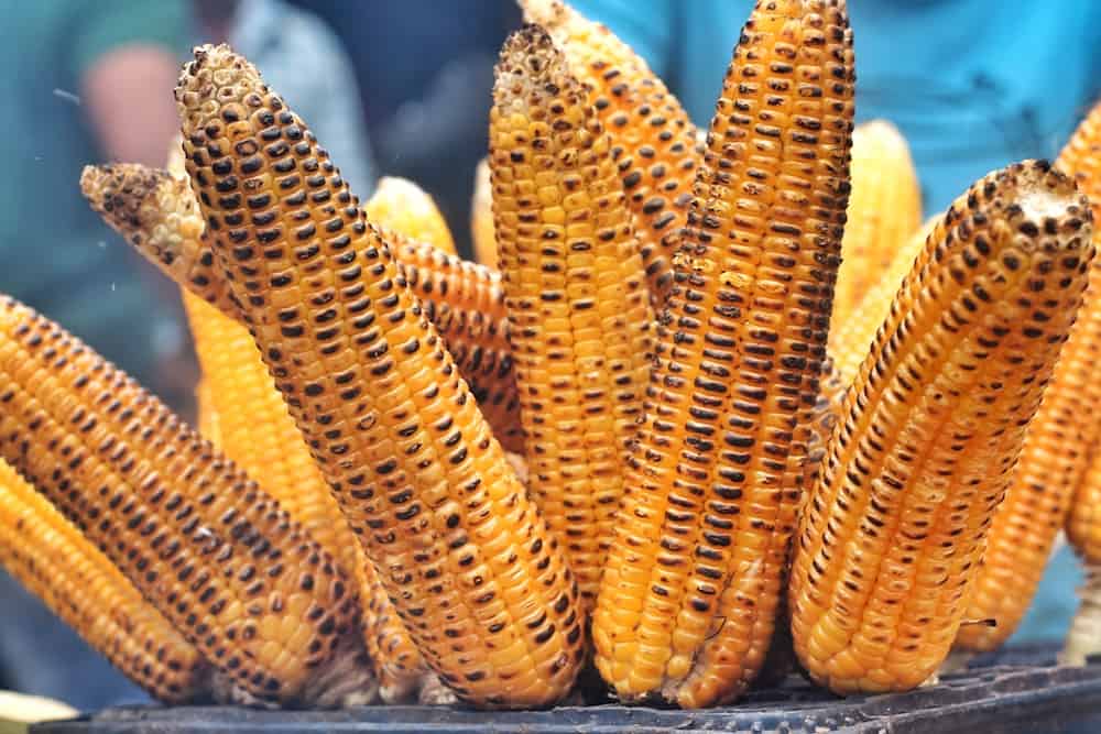 Community Corn Roast Ossining Farmers Market