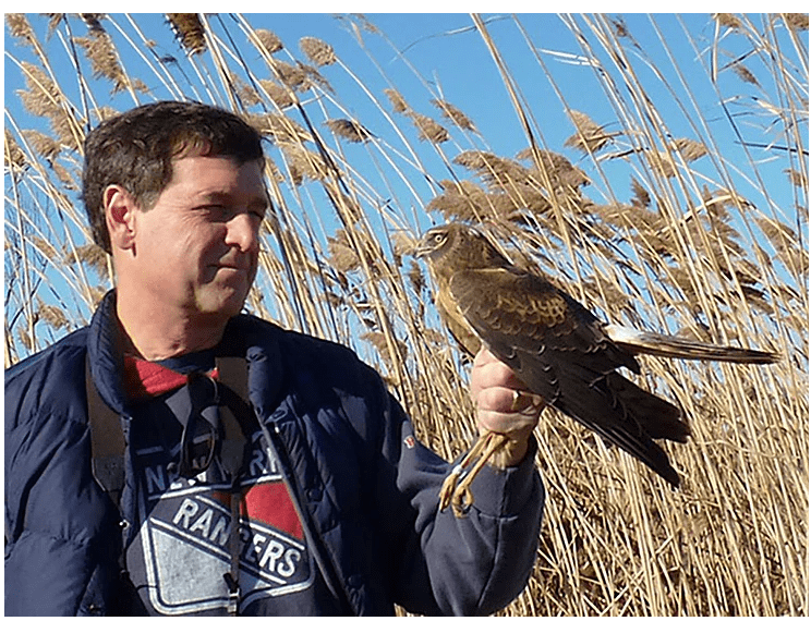 Ferry Sloops Fall Lecture Series: Wintering Birds at Croton Point Park