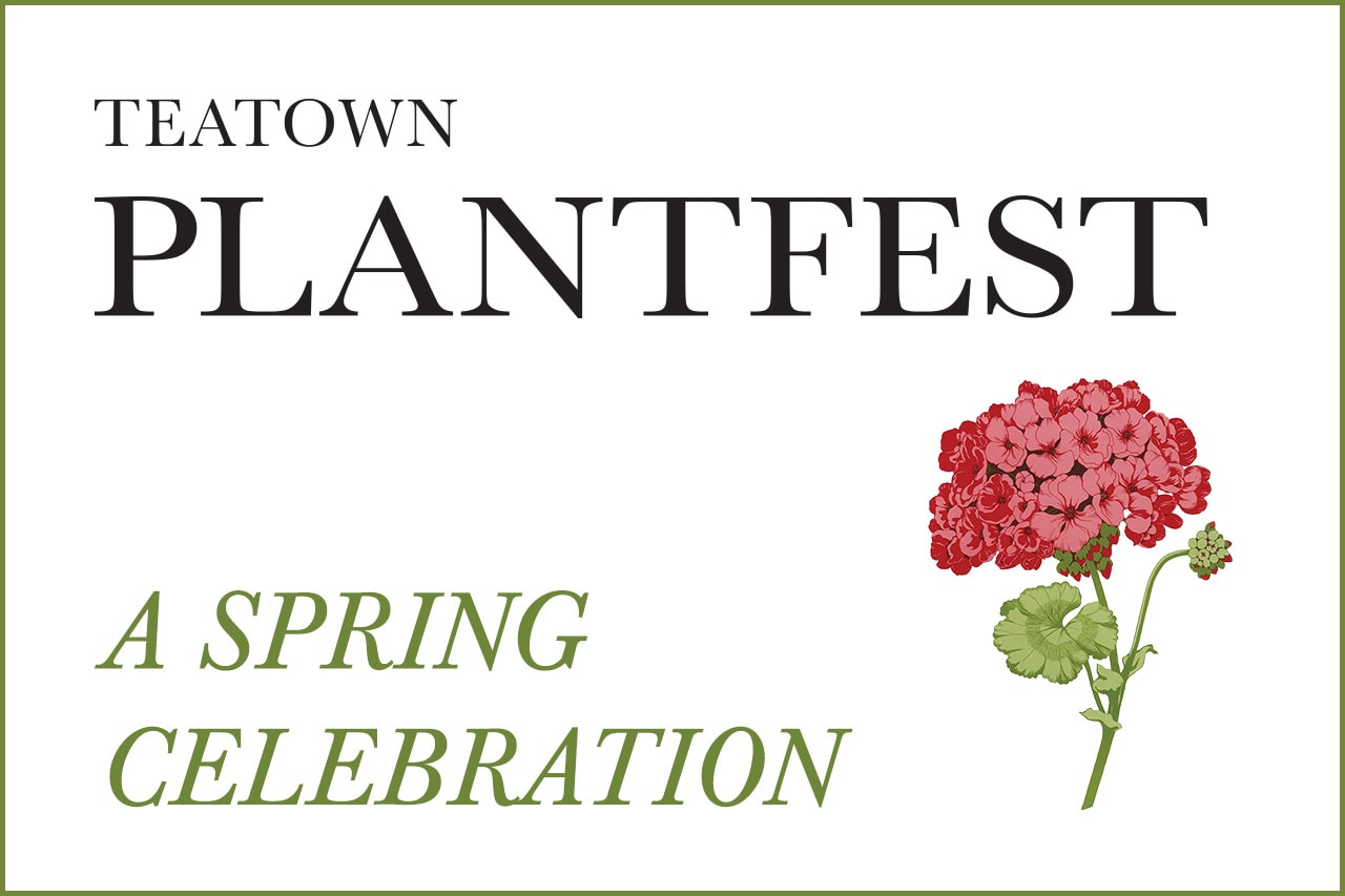 PLANTFEST TEATOWN