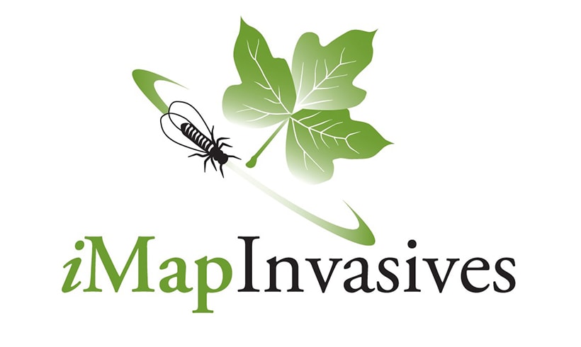 iMapInvasive