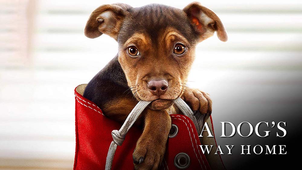 Friday Night Flix: A Dog's Way Home