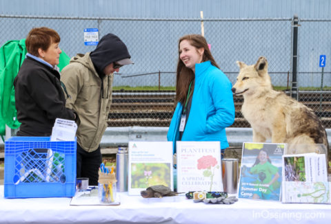 Teatown at Earth Day Celebration