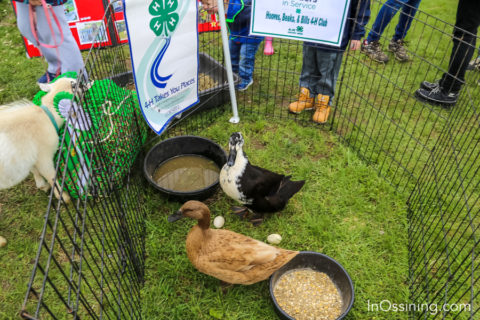 Kids Activities Earth Day