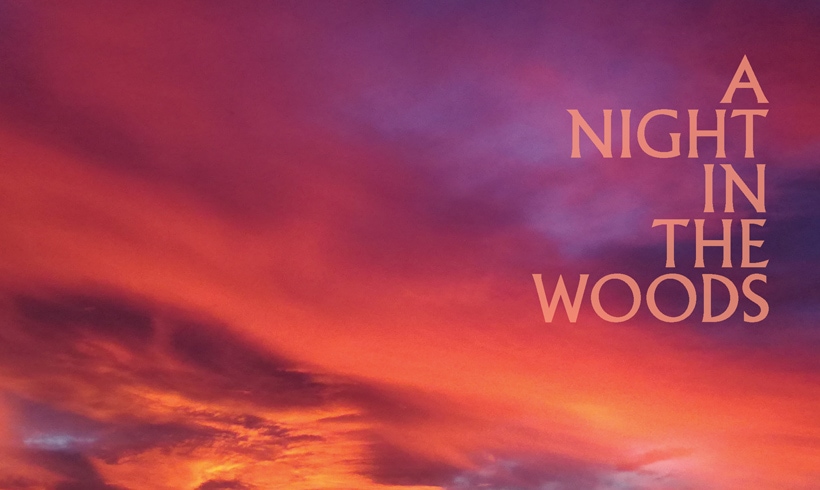 A Night in The woods