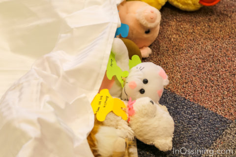 Stuffed animal sleepover at the library