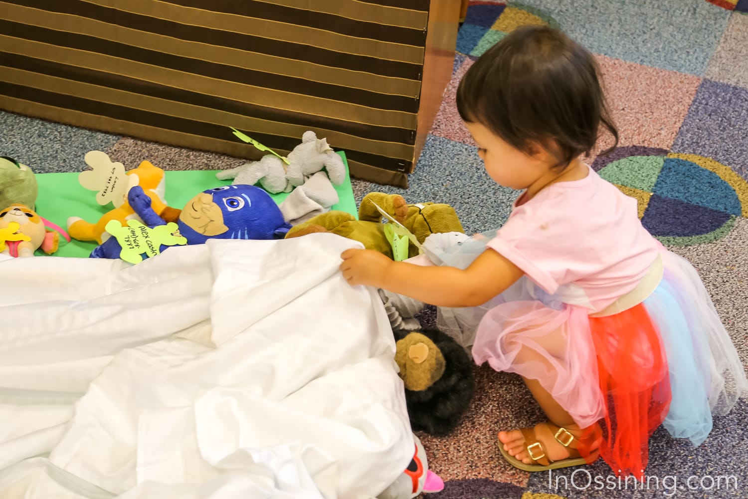 Stuffed Animal Sleep Over at the Library