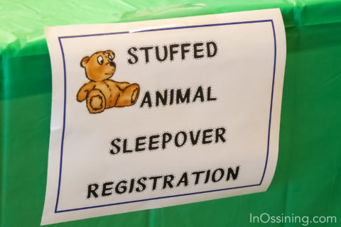 Stuffed Animal Registration