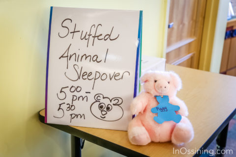 Stuffed Animal event at OPL