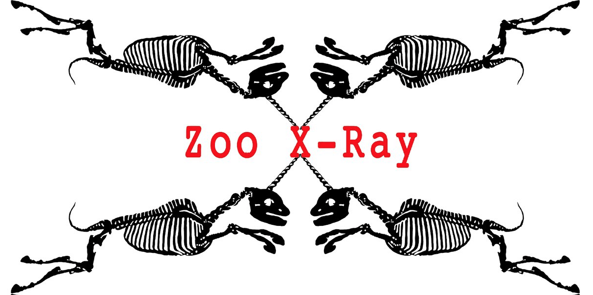 Zoo X-Ray LIVE at SSKB in Ossining