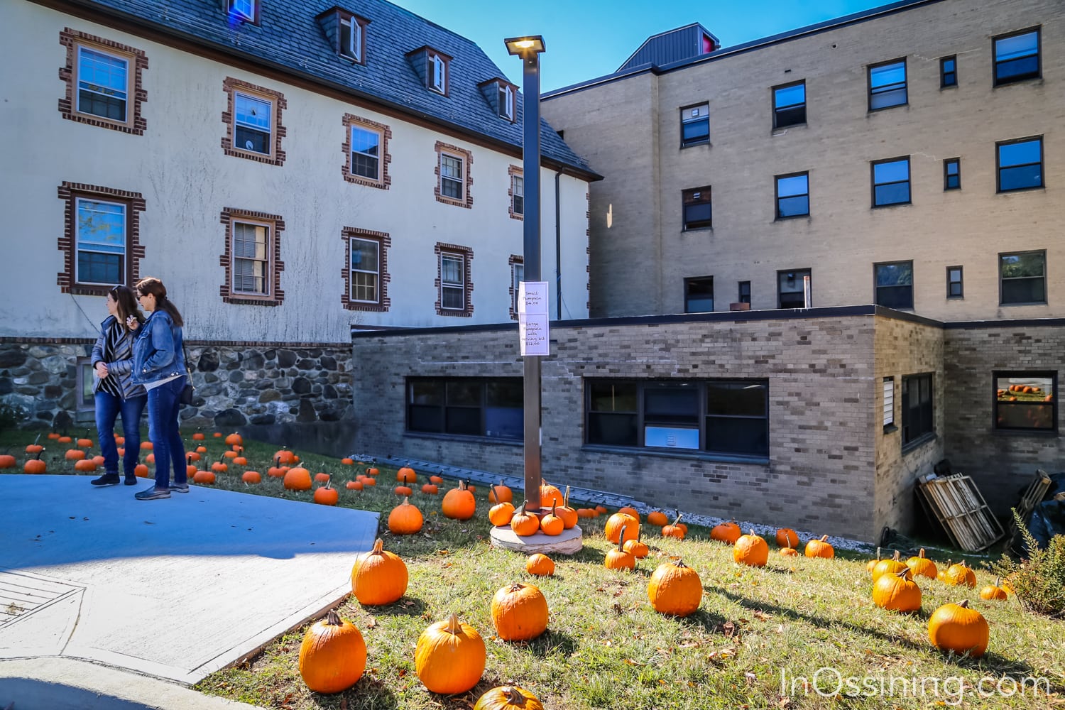 Halloween at Bethany Arts Center
