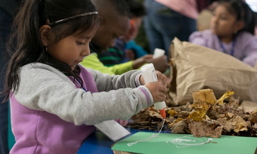 Seasonal Nature Art Workshop: From Green to Gold