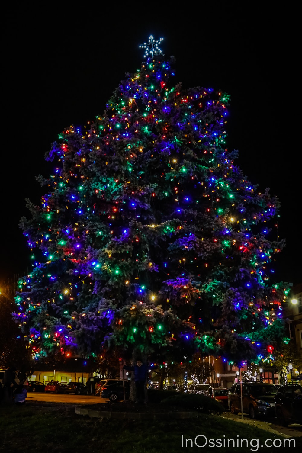 Ossining Holiday Tree