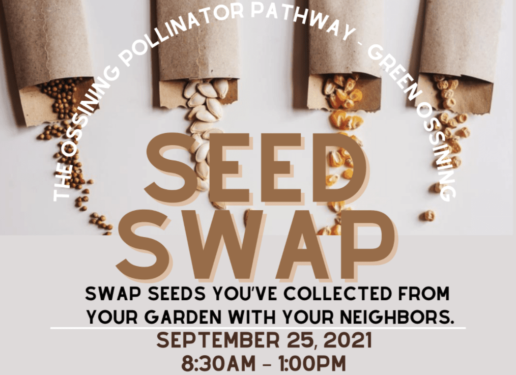 seed swap